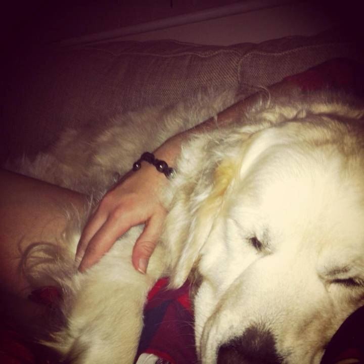 1396024_10151665642759071_1118407007_n