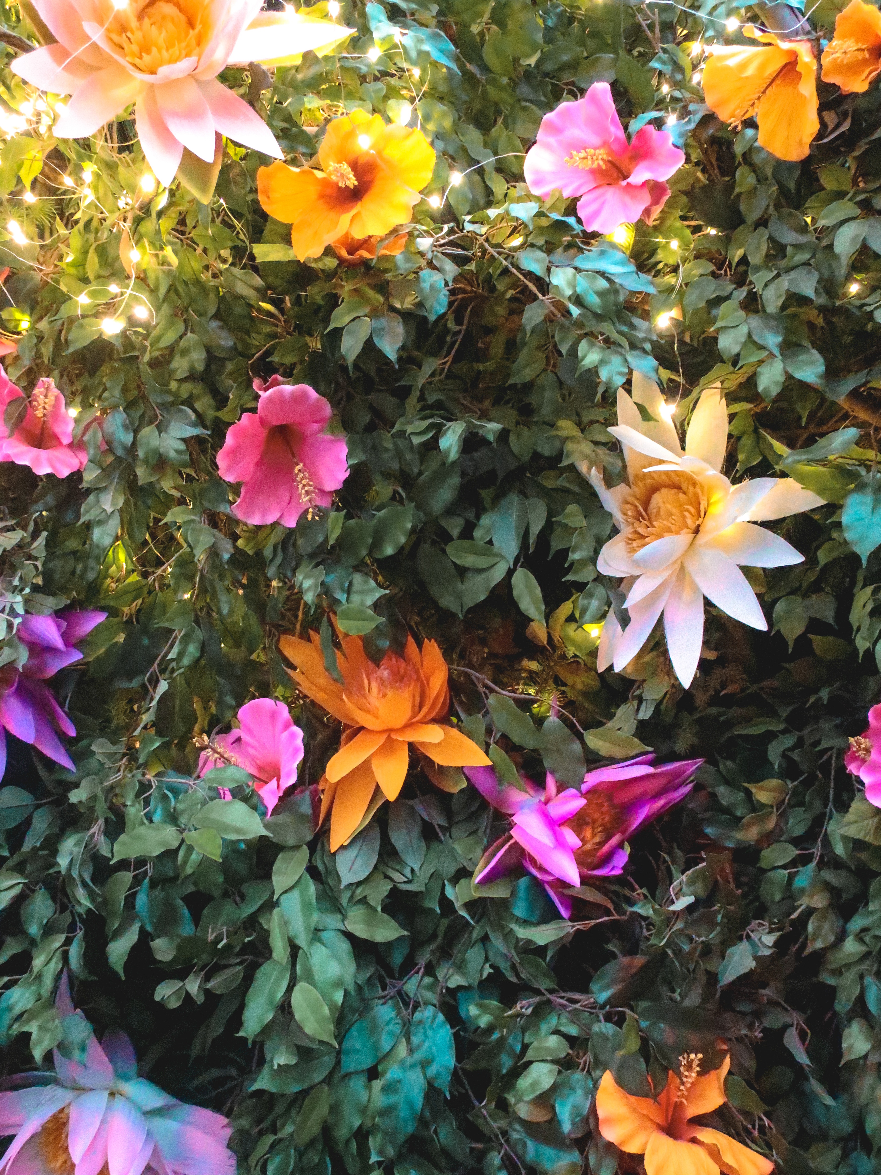 Mad Hatters Tea Party Garden Society