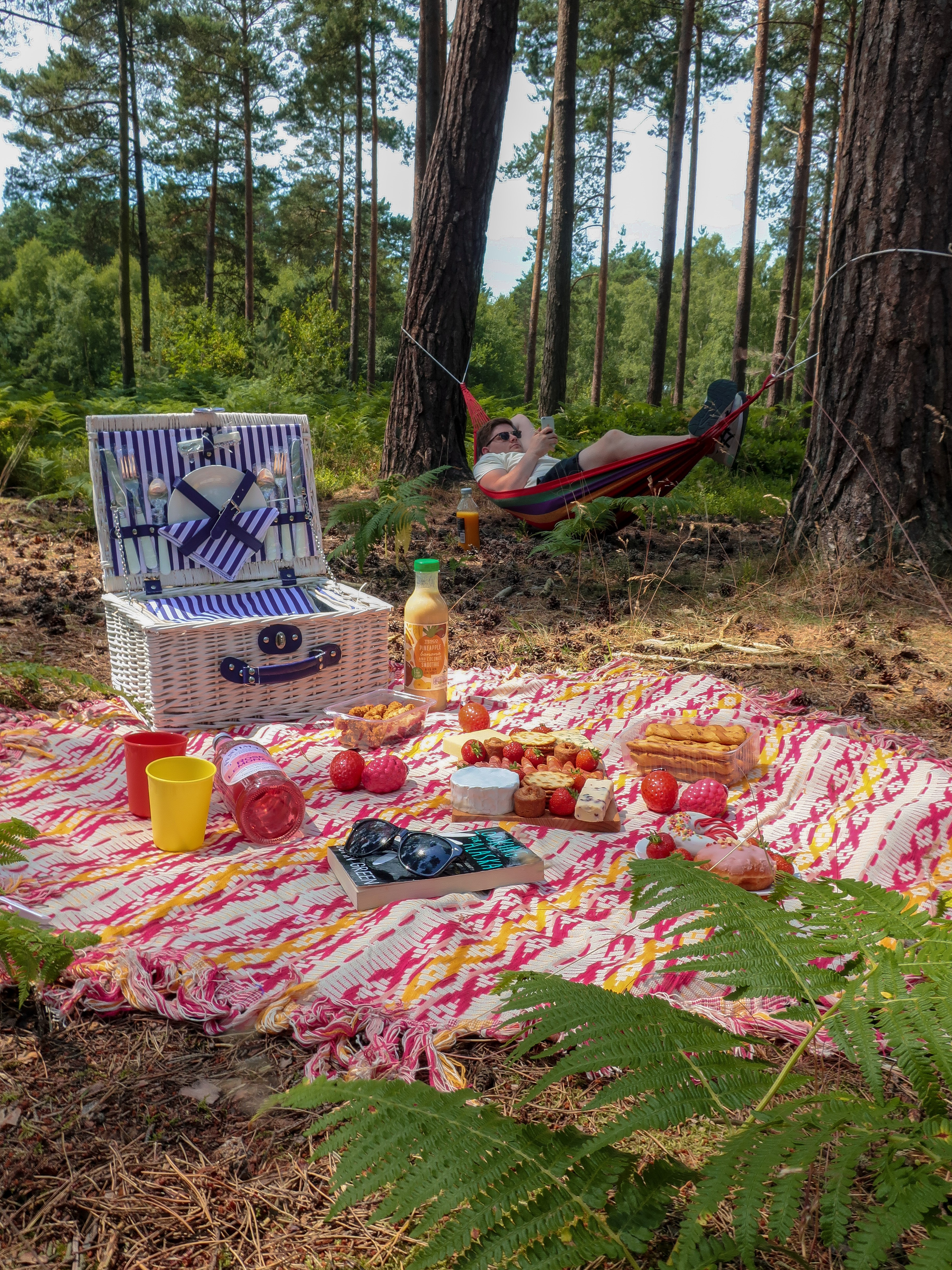 Geeky Summer Bucket List | Themed Picnic Geeky Summer Bucket List | Themed Picnic