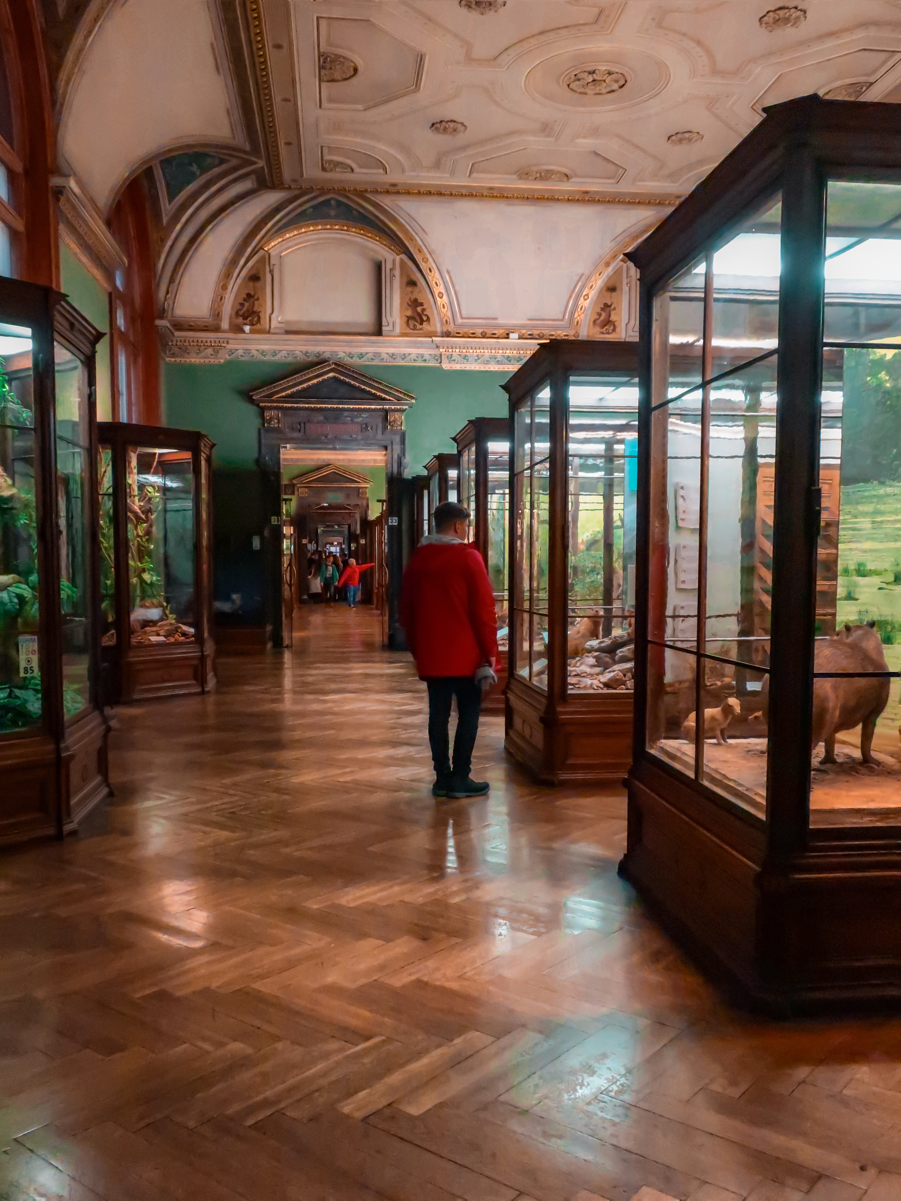 A Geeks Guide to Vienna | Natural History Museum