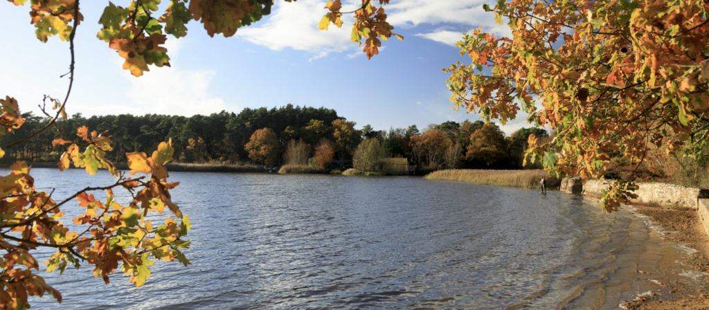 Movie Locations with the National Trust | Frensham Little Pond