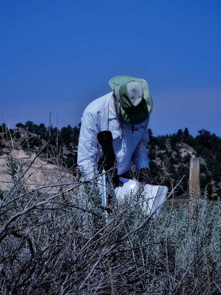 A Geeks Guide to Wyoming | Planetarium A Geeks Guide to Wyoming | Planetarium