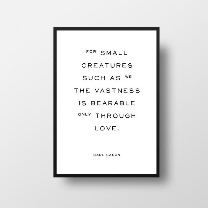 Gift Ideas for Space Lovers | Carl Sagan Print